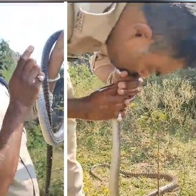 (ویدئو) نجات جان یک مار با تنفس دهان به دهان توسط پلیس