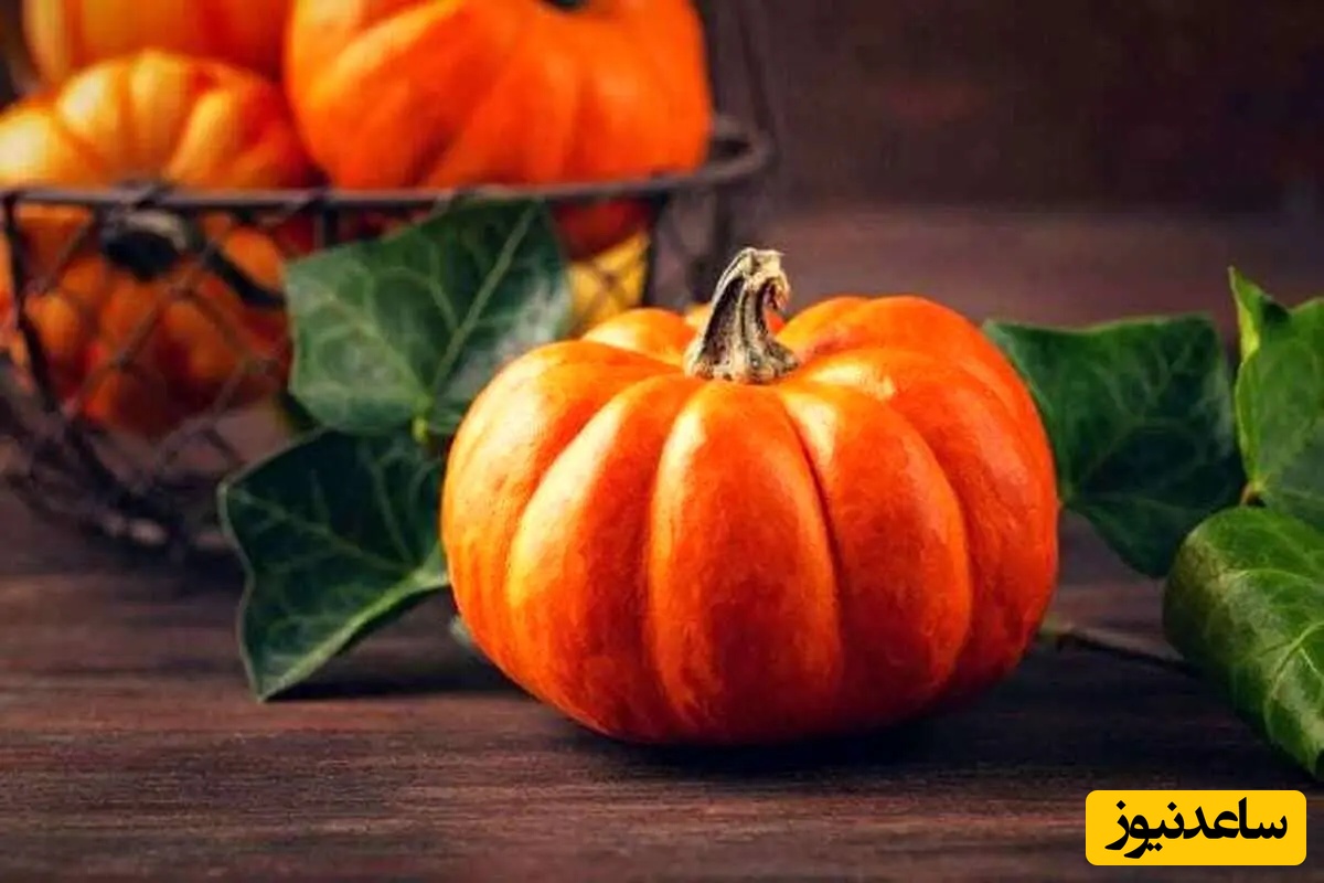 خطای دید/ فقط افرادی با هوش بصری بالای 125 می‌توانند در 5 ثانیه کدوتنبل را در جمع بوقلمون‌های نارنجی پیدا کنند