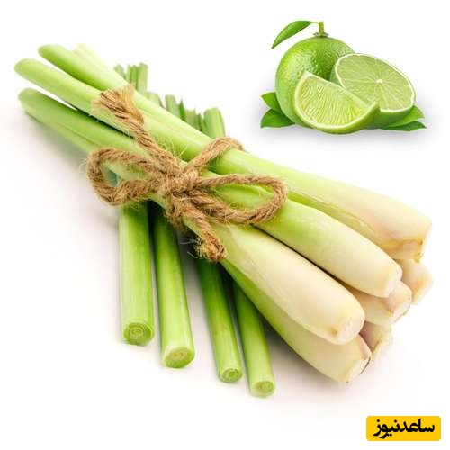 خواص علف لیمو، 8 خاصیت شگفت‌انگیز و مضرات آن که باید بدانید