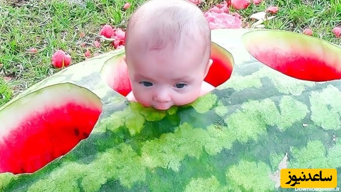 خلاقیت تحسین‌برانگیز و خنده‌دار "عروس تبریزی" درتزئین هندوانه با الهام از دندان شاهکاریه برای خودش / 1000 آفرین به این ذهن پر از ایده و خلاق🤣