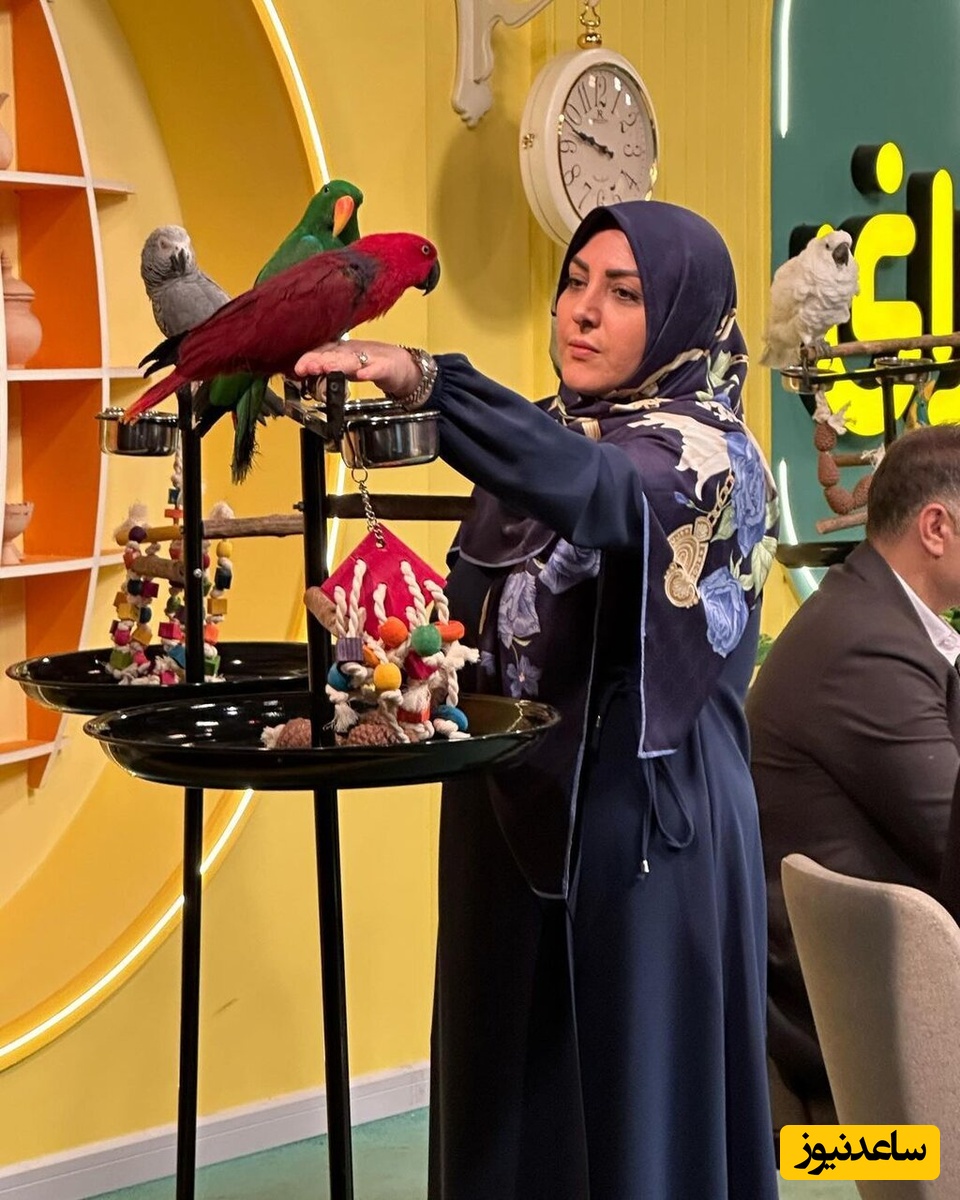 شهریه 175 میلیونی یک مدرسه برای ثبت نام پسر المیرا شریفی مقدم مجری برنامه صبحانه ایرانی!/ دلیل هزینه های غیر قابل توجیه چیست؟ +ویدیو