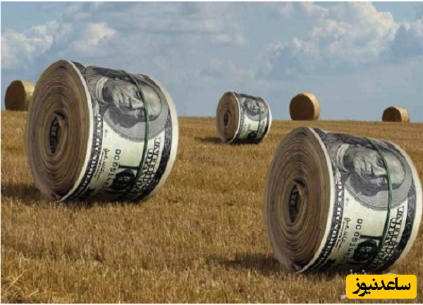 منابع و دروس رشته مهندسی اقتصاد کشاورزی و ضرایب آن در مقطع کارشناسی ارشد