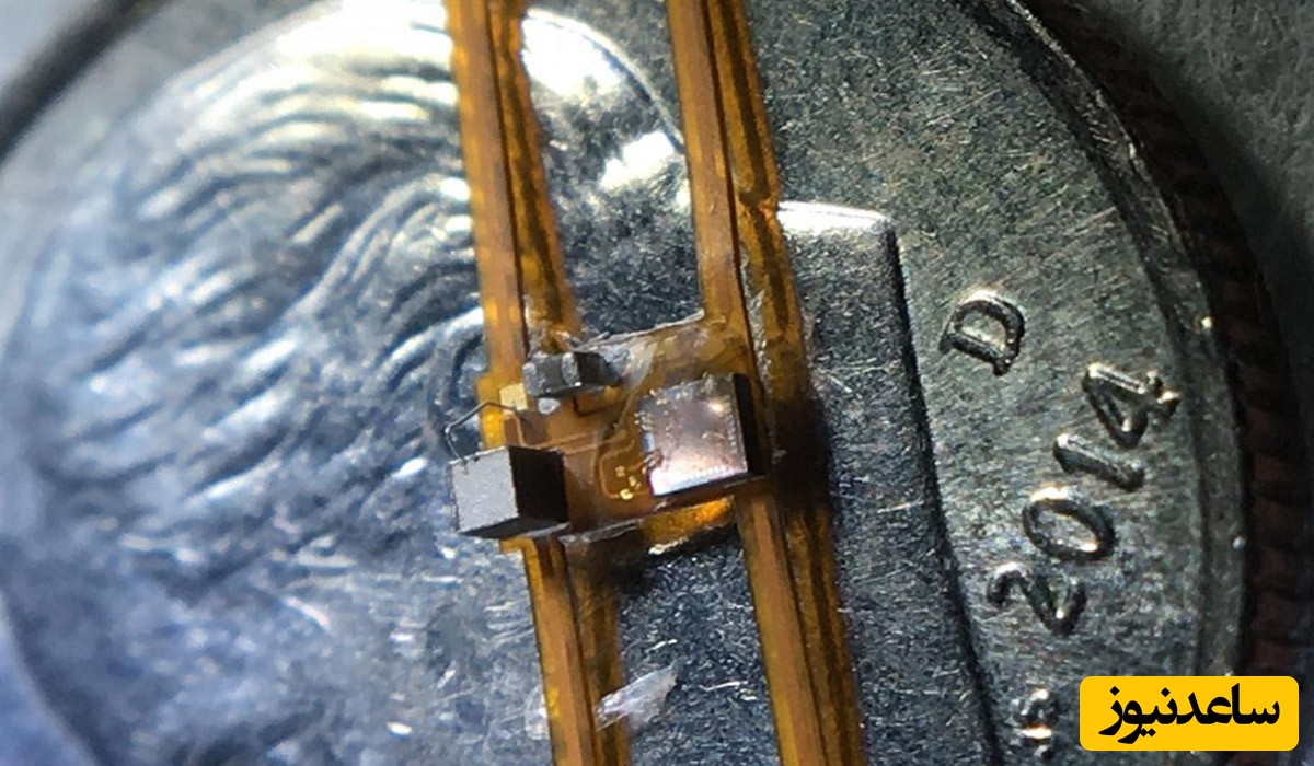 کوچکترین تحریک کننده سیستم عصبی دنیا