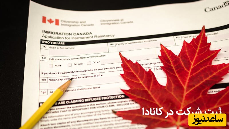 مزایا و معایب ثبت شرکت در کانادا