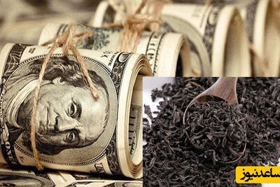 روزنامه جمهوری اسلامی: دولت به جای سوزاندن ریشه فساد3.7 میلیارد دلاری به دنبال نسبت دادن آن به دیگران است