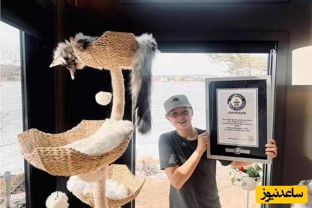 گربه‌ای با دمی باورنکردنی نامش را در کتاب رکوردهای گینس ثبت کرد! + عکس