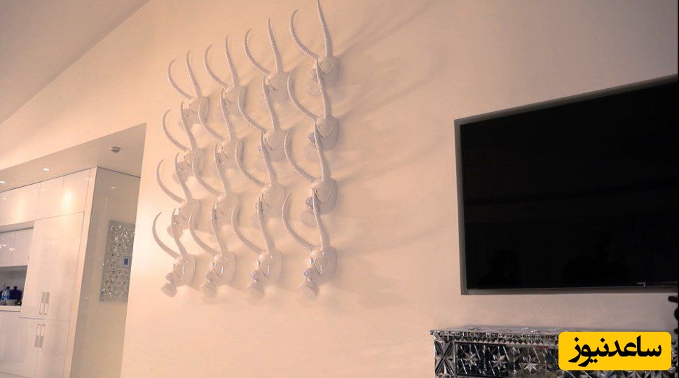 خانه فریبا نادری