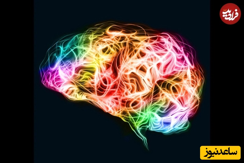 هر سلول زنده نور فوق‌ضعیفی را به شکل محصول جانبی واکنش‌های شیمیایی مانند متابولیسم انرژی منتشر می‌کند 