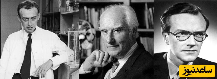 جیمز واتسون، فرانسیس کریک و موریس ویلکینز