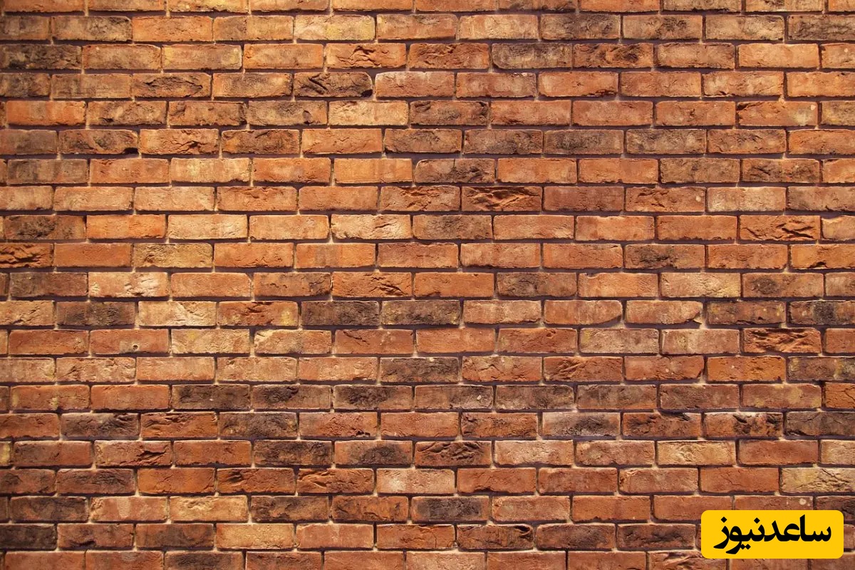 دیدن دیوار در خواب چه تعبیری دارد ؟ / تعبیر خواب دیوار