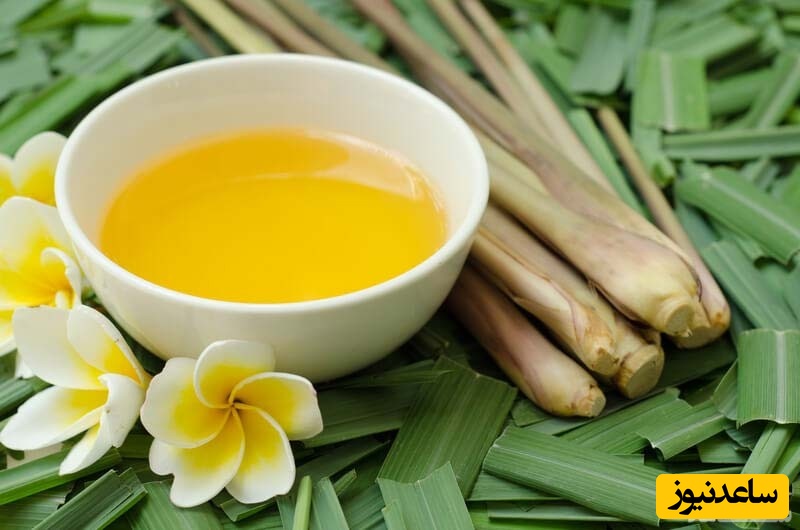 8 ماده ی مغذی ضد پوسیدگی دندان