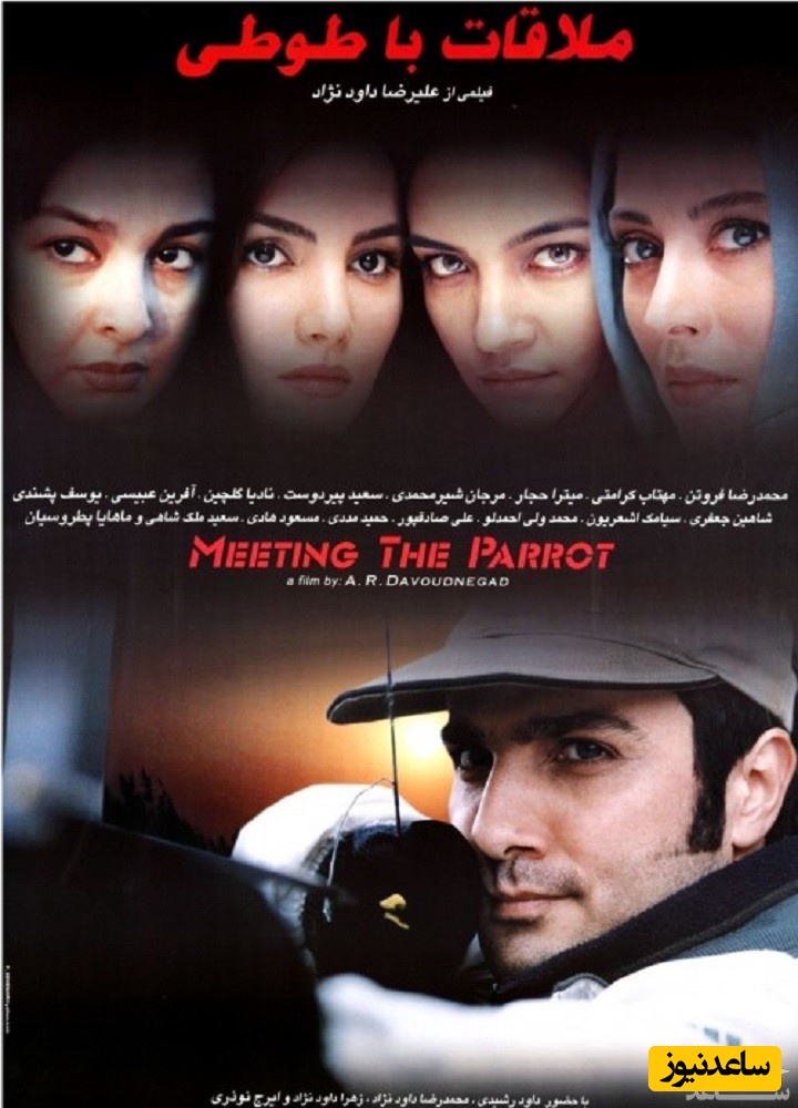 معرفی فیلم ملاقات با طوطی