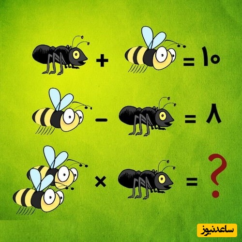 معمای مورچه و زنبور