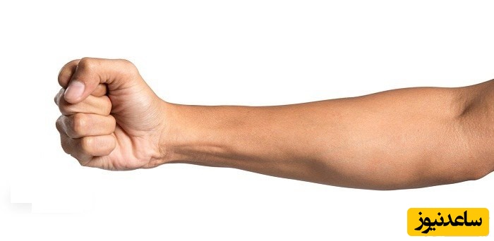دیدن ساعد در خواب چه تعبیری دارد؟ / تعبیر خواب ساعد
