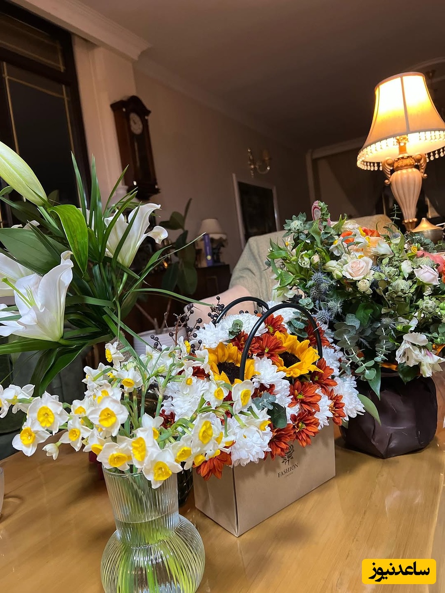 منزل سمیرا حسن پور