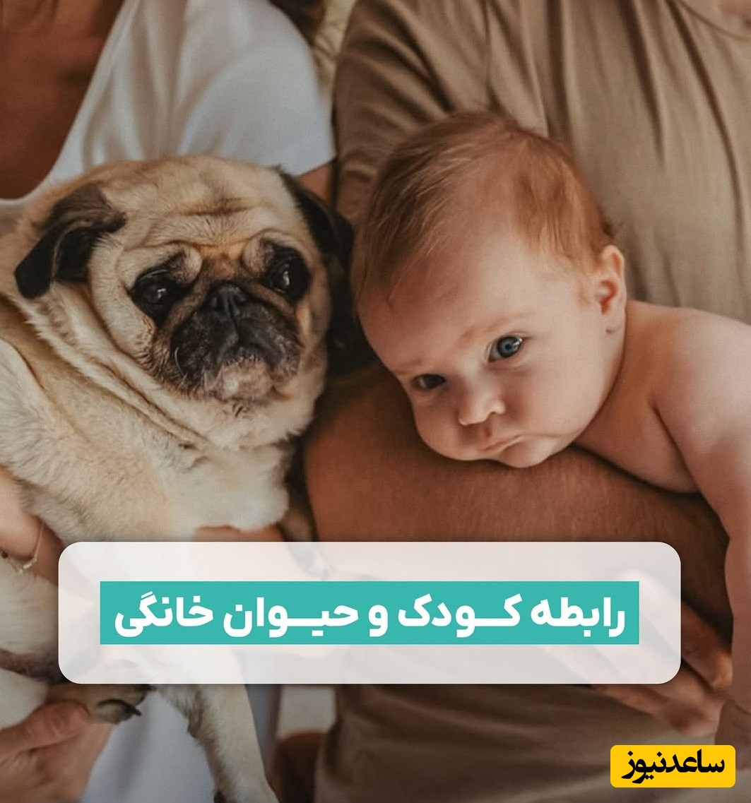 رابطه کودک و حیوان خانگی/ تأثیر حضور حیوانات خانگی در رشد نوزاد