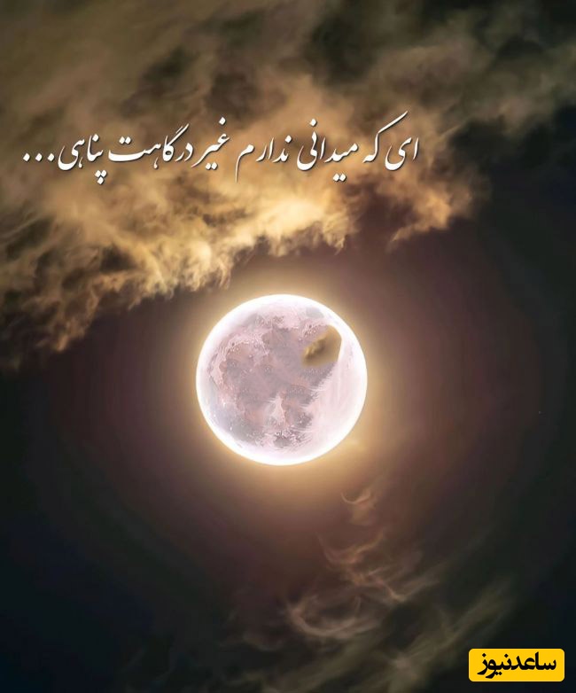 شکرگزاری صبحگاهی/ پروردگار مهربانم، پیش از آنکه دنیا با شلوغی‌هایش شروع شود، نام تو را زمزمه می‌کنم و شکرگزارم که هنوز فرصت دیدن یک صبح دیگر را دارم.../ شکرگزاری امروز 29 فروردین 1405+ ویدئو