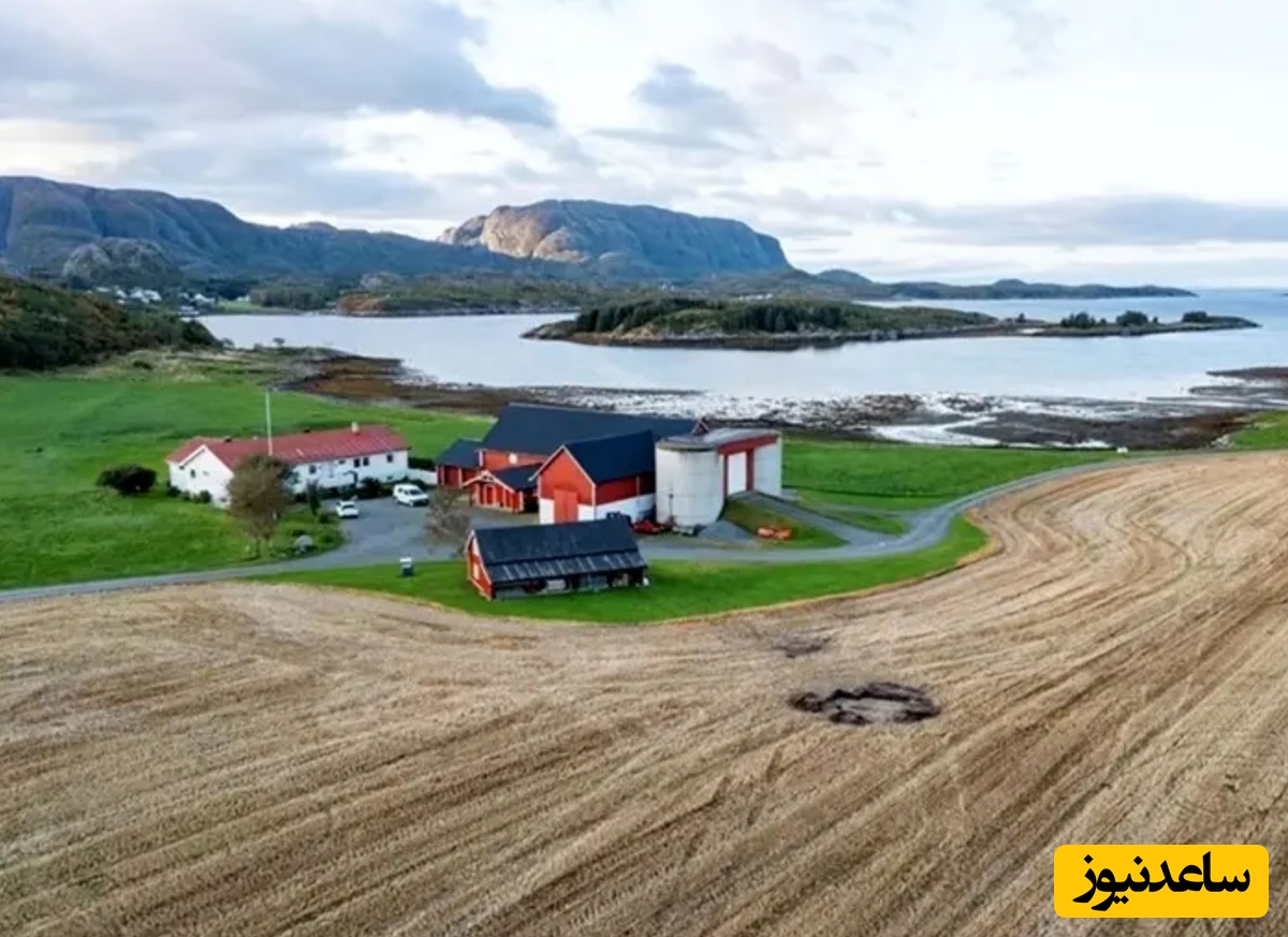 محل کشف گور باستانی