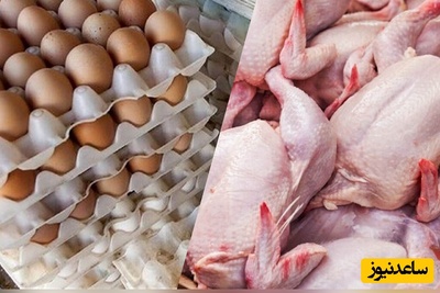 ویدیو/ گرانی مرغ و تخم‌مرغ ربطی به جنگ و تحریم ندارد