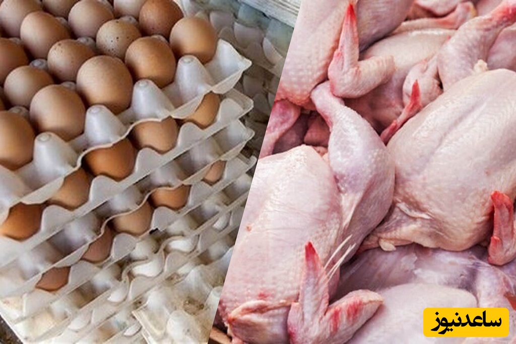 ویدیو/ گرانی مرغ و تخم‌مرغ ربطی به جنگ و تحریم ندارد