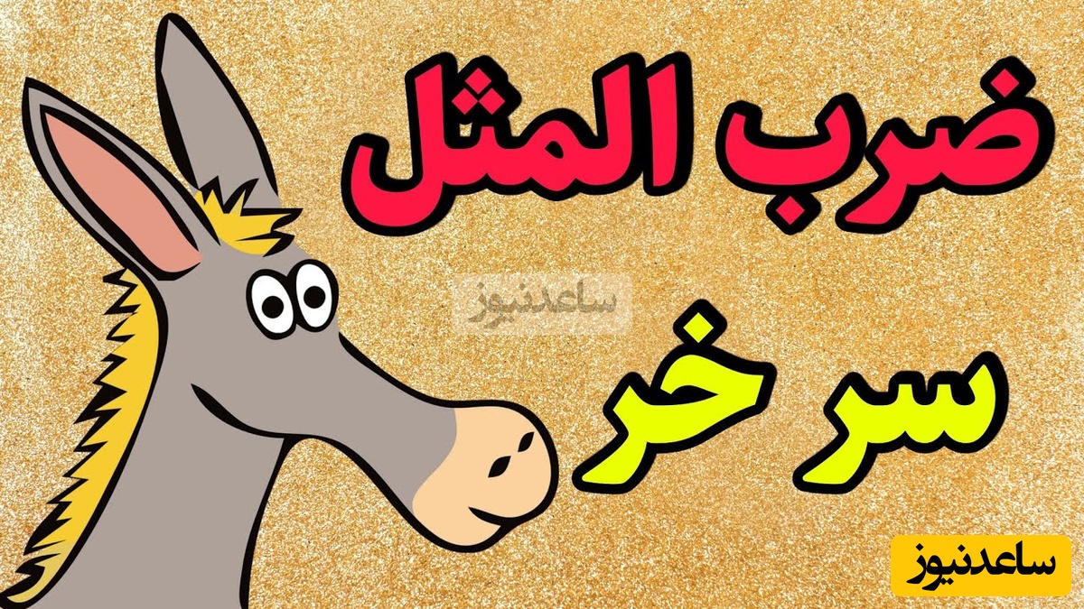 نگاهی به ضرب‌المثل جذاب و خواندنی/ اصطلاح سر خر از کجا آمده؟ الحق که به جا بود+ ویدئو