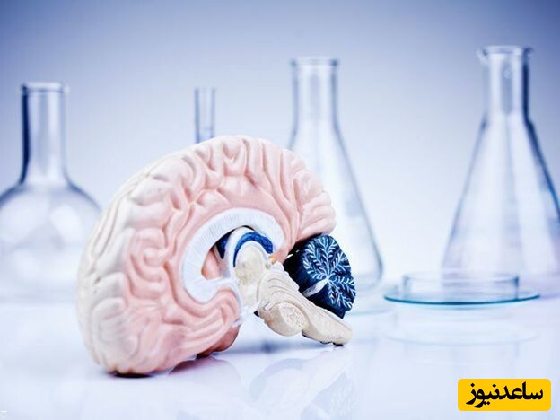 بیماری‌های عصبی