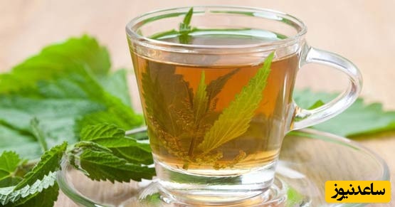 6 گیاه مفید برای افزایش میل جنسی