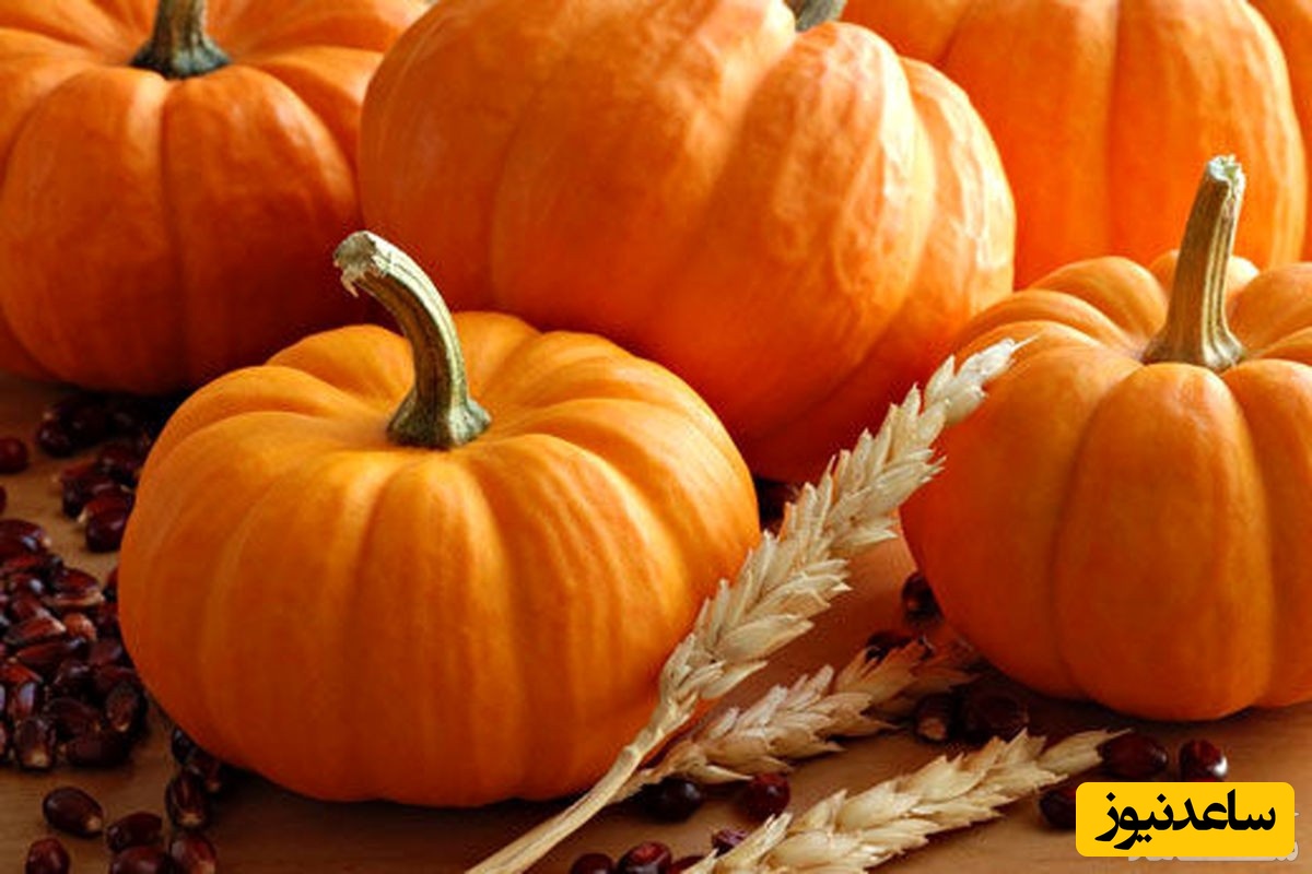 فواید و مضرات خودرن کدو حلوایی در بارداری