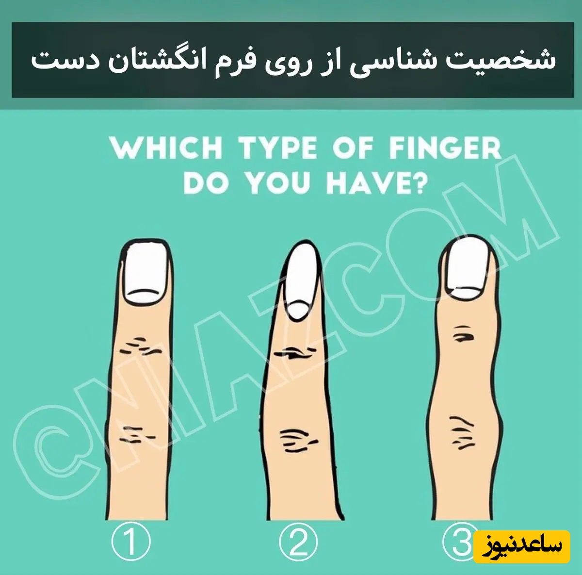 تست شخصیت شناسی | سرنوشت زندگیت رو از روی فرم انگشتت بخون! + پاسخ