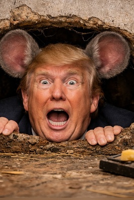 ترامپ مو طلایی به دنبال سوراخ موش/ ایران آخرین خط‌­ونشان خود را کشید: اگر کوچک‌ترین تعرضی بکنی...