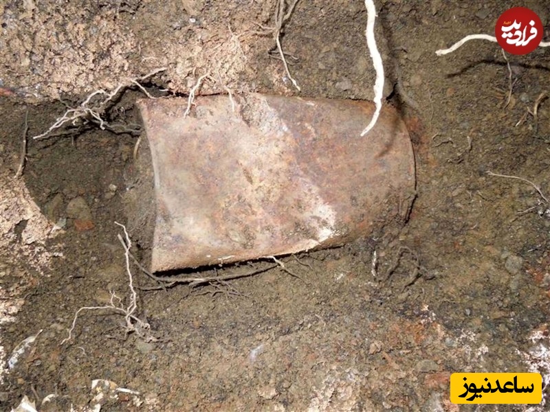 سکه