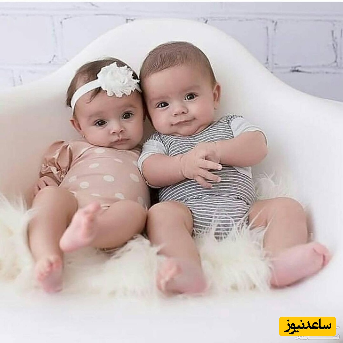 دستورالعمل پسر دار شدن و دختر دارشدن به کمک تغذیه