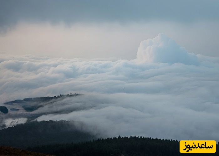جنگل مازیچال؛ بهشتی بر فراز دریای ابرها
