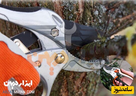 خرید قیچی باغبانی و انواع آن