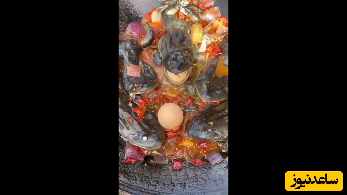 چندش‌آور ترین املتی که این مادر و پسر از خوردنش لذت می برند! + فیلم