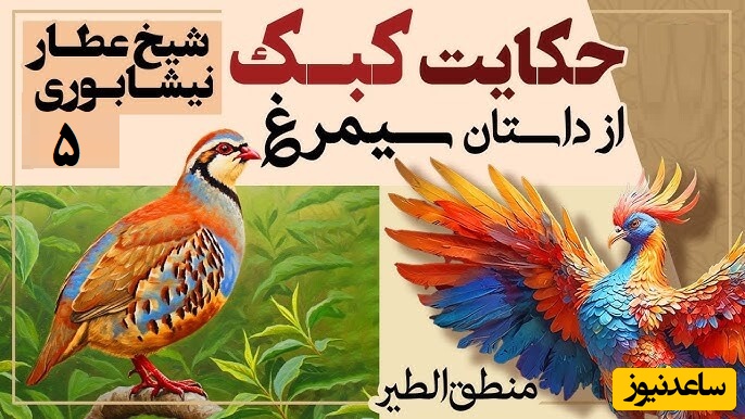 داستان‌های کوتاه و زیبایی که باید بشنوید/ منطق الطیر عطار، بخش 5؛ حکایت میخکوب‌کننده کبک و هُدهُد/ تنها راز رسیدن به اوج از زبان هدهد