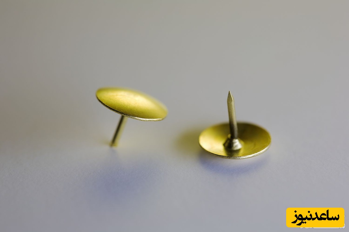 دیدن پونز در خواب چه تعبیری دارد؟/ تعبیر خواب پونز