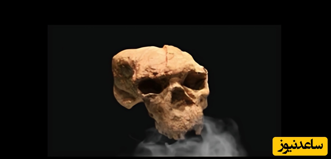 (ویدئو) بشریت اشتباه می‌کرد! 🤯/ این جمجمه 1 میلیون ساله جدید در چین، تمام تاریخ ما را 500,000 سال عقب می‌کشد! آیا انسان "اژدها" اجداد واقعی ماست؟