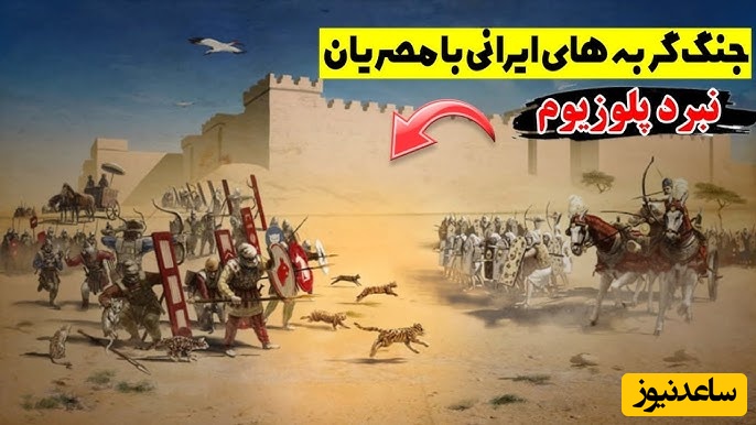 نبرد پلوزیوم؛ وقتی گربه‌های ایرانی سرنوشت یک جنگ را تغییر دادند