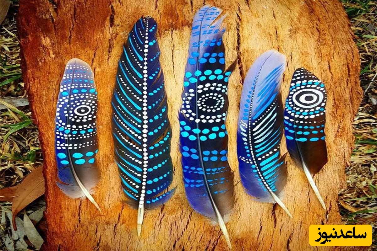 دیدن پر در خواب چه تعبیری دارد؟ / تعبیر خواب پر