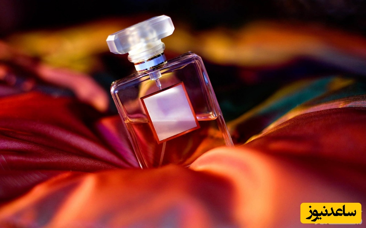 شخصیت شناسی از روی عطر مورد‌علاقه