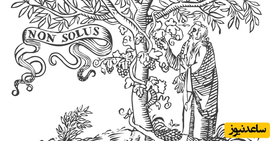 راهنمای کامل چاپ مقاله در مجلات الزویر؛ از پذیرش تا انتشار (2026)