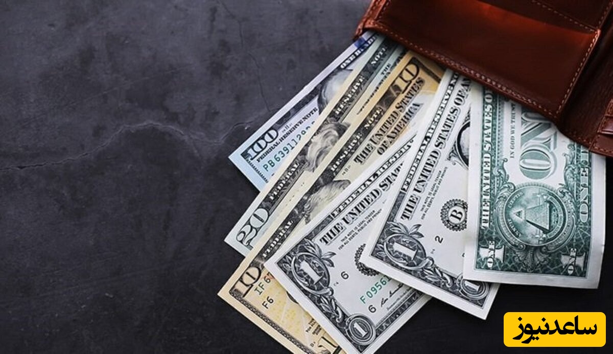 فوری/ شرایط دریافت ارز مسافرتی اعلام شد+ لینک