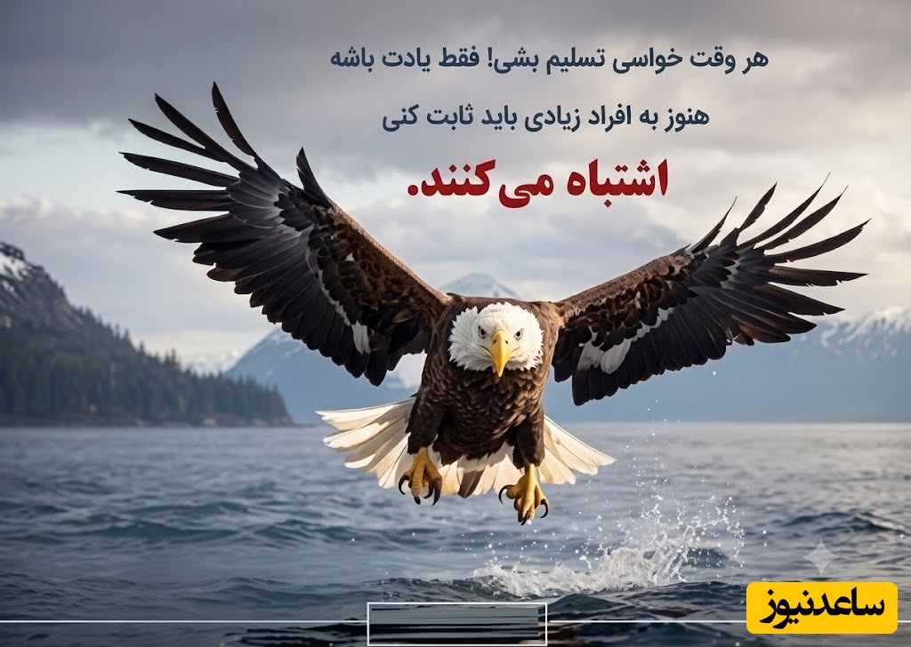 کائنات پیام ویژه ای برات داره/  موفقیت یک اتفاق ناگهانی نیست؛ مجموعه‌ای از قدم‌های کوچک و تکرار شونده است / پیام انگیزشی امروز 3 تیر 1405 + ویدئو