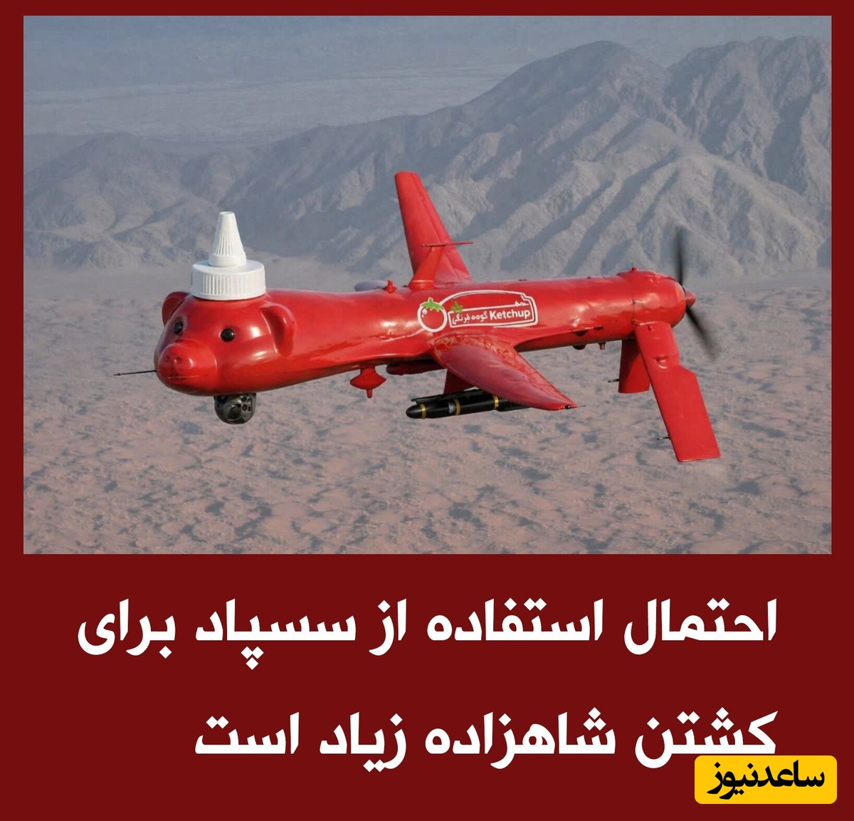 شوخی کاربران فضای مجازی با سس پاشی روی رضا پهلوی