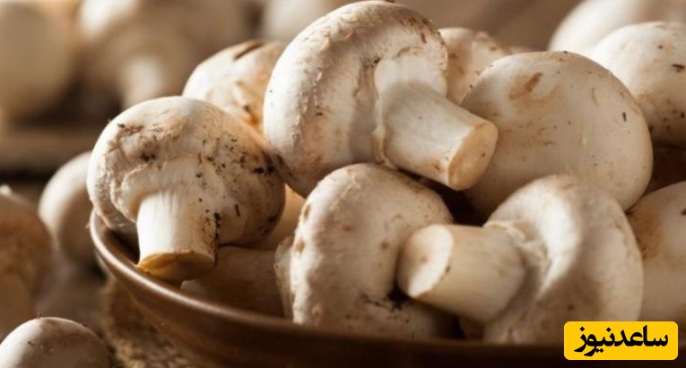 دیدن قارچ در خواب چه تعبیری دارد؟ / تعبیر خواب قارچ