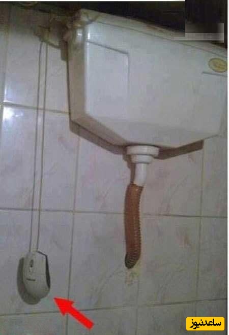 فلش تانک و ماوس