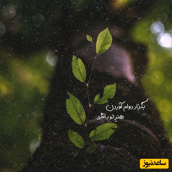 کائنات پیام ویژه‌ای برات داره؛ مرگ میتواند آدم‌ها را از چشم‌هایمان بگیرد ولی از قلبمان نه، هنوز هم وقتی دلتنگ میشی، یعنی او جایی درون تو زنده است/ پیام انگیزشی امروز 23 اردیبهشت 1405+ ویدئو