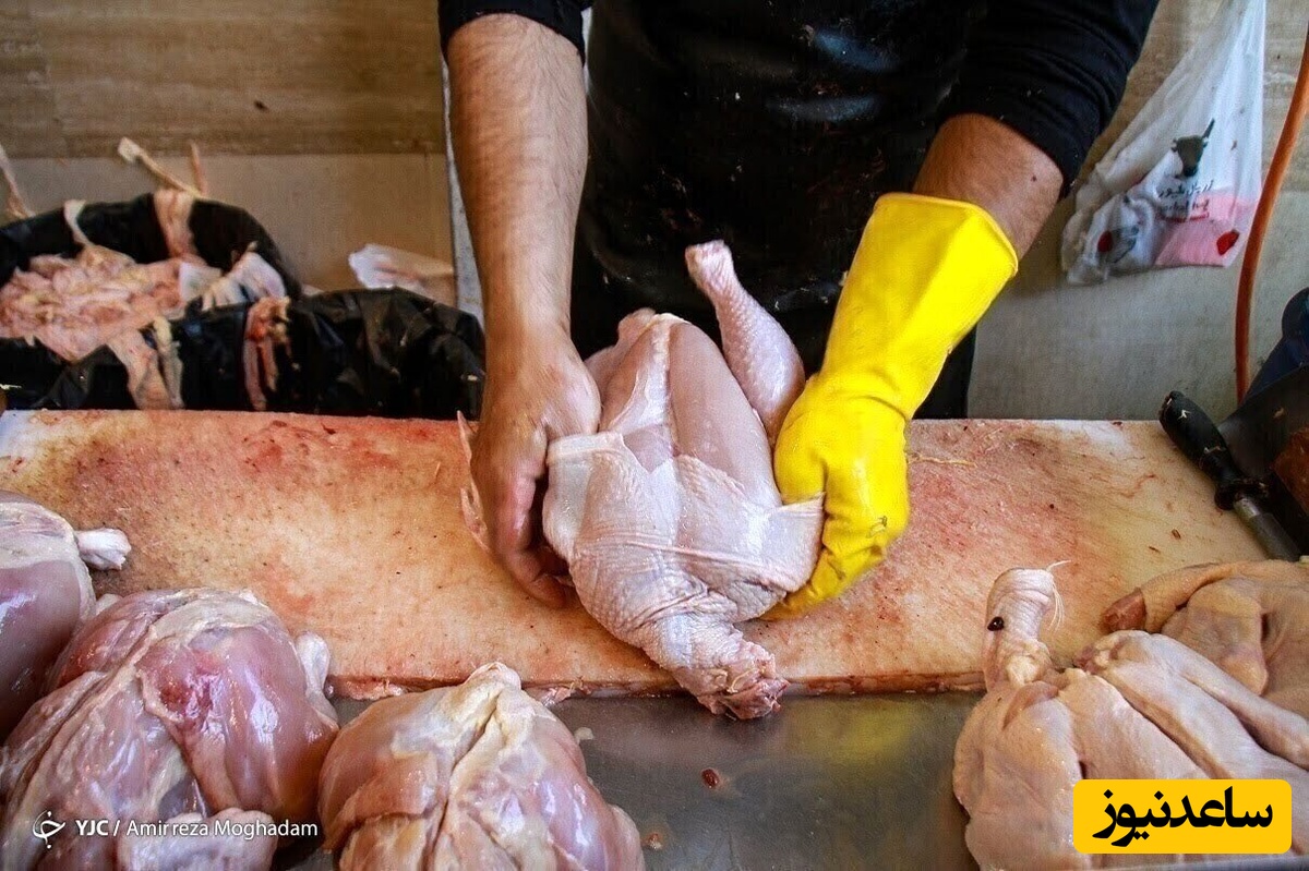 قیمت جدید مرغ تعیین شد!+جزئیات