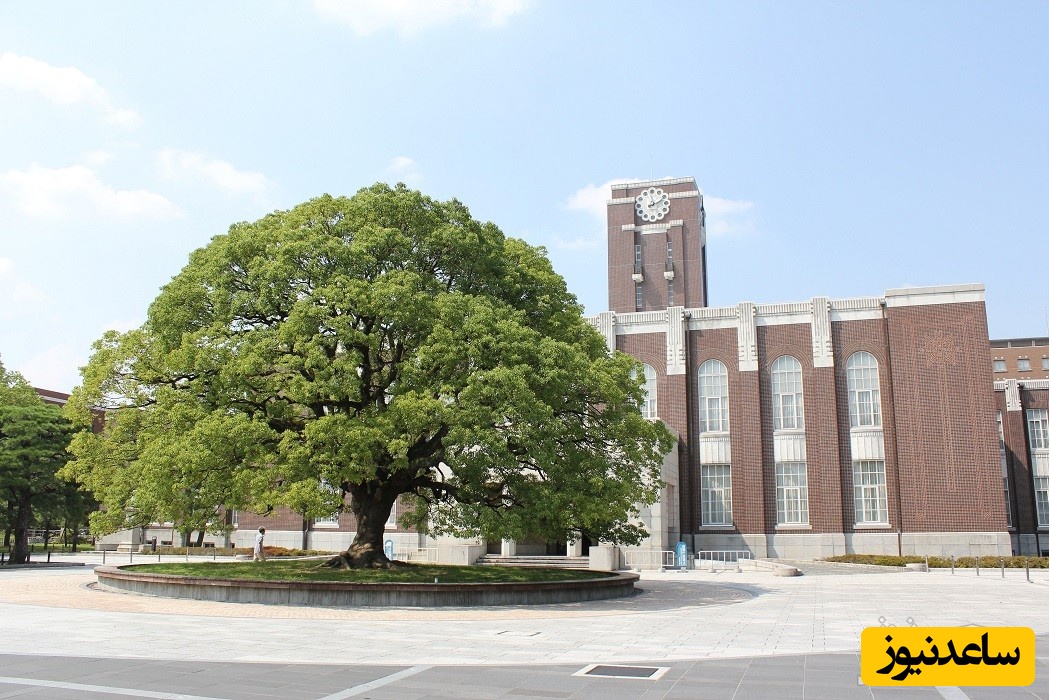 دانشگاه کیوتو ژاپن (Kyoto University)
